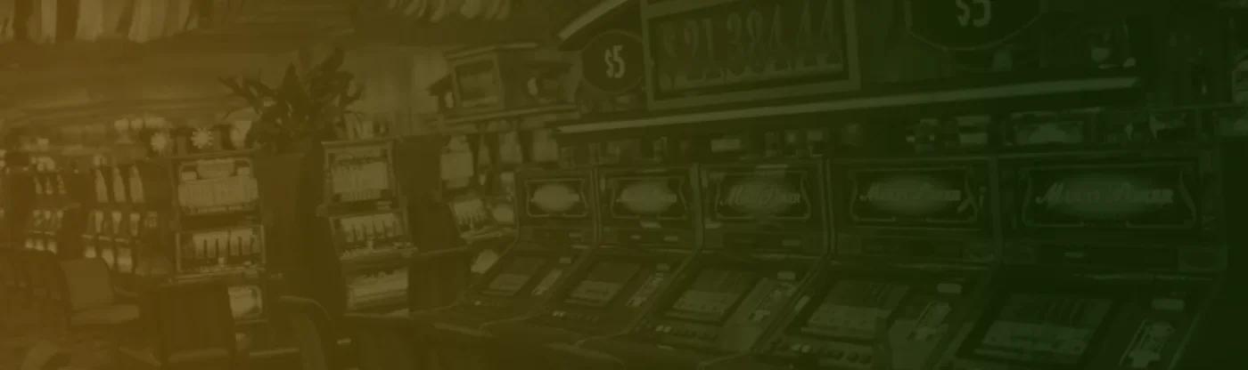 nv-banner2